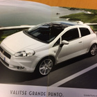 Myyntiesite - Fiat Punto - 1/2010 - pikkukuva 2