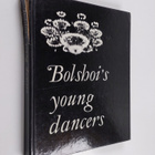Bolshoi's Young Dancers - pikkukuva 1