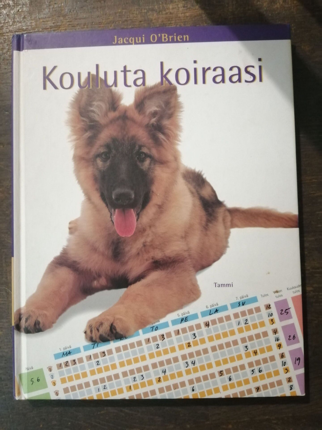 Kouluta koiraasi viikko-ohjelmalla hyvin käyttäytyvä koira