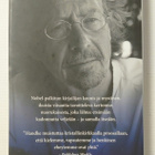 Peter Handke - Toiston Pysyvyys - pikkukuva 3