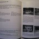 Jalkapallo Viikinki 1979 - pikkukuva 3