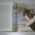 Kesäsaaren kissat (1.p. 1989) kissakirja - pikkukuva 3