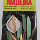 L. O. Franquinho : Madeira : plantas e flores = plantes e... - pikkukuva 2