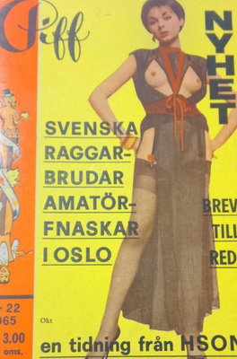 Piff Nr 22 1965