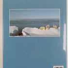 Ian Stirling : The polar bear - pikkukuva 2