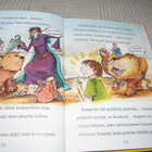 Arrigan - Boon Oopperaa rakastava leijona - pikkukuva 3