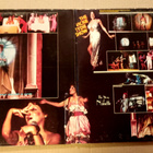 LP Bette Midler tuplalive - pikkukuva 3