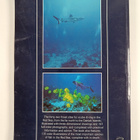 Red Sea : Diving guide - pikkukuva 2