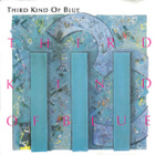 Third Kind Of Blue - pikkukuva 1