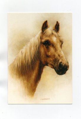 Giordano °°UPEA HEVONEN°° -KORTTI / (Papron)