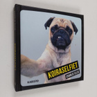 Charlie Ellis : Koiraselfiet - pikkukuva 1