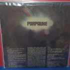 Piirpauke S/T EX+/M- LP - pikkukuva 2