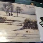 Peter Green White sky Pvk 1982 Fin press - pikkukuva 1