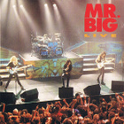 Mr. Big - Live - pikkukuva 1