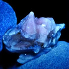 Enstatiitti meteoriitti kideryhmä 12ct akondriitti aubriitti - pikkukuva 4