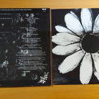 Cardiacs - A Little Man And A House And The Whole World Wind - pikkukuva 3