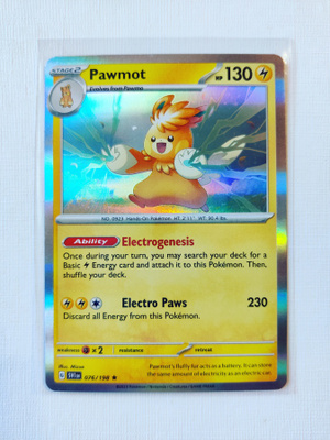 Pawmot Holo Rare