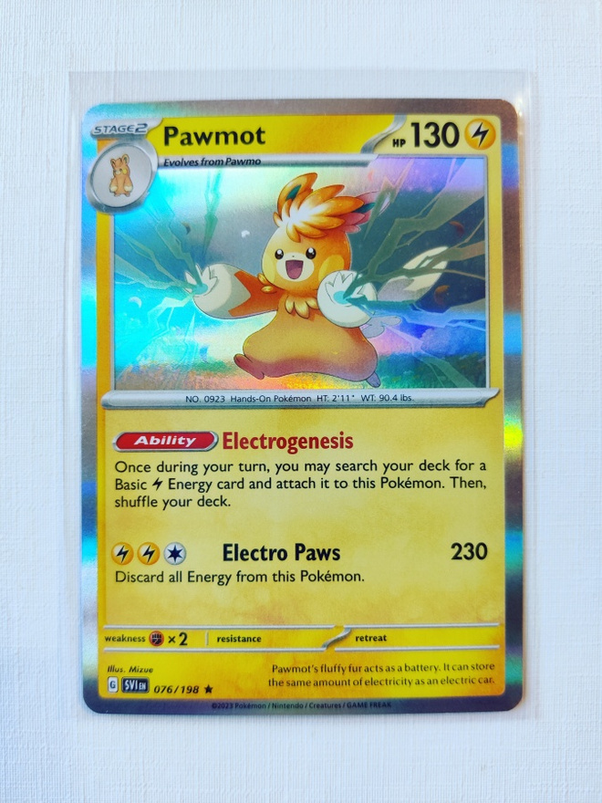 Pawmot Holo Rare