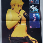 No Doubt / Life Of Agony - posteri - pikkukuva 1