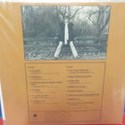 MAARIT S/T M/M LP - pikkukuva 2