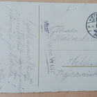 Hieno pikkupariskunta ja mäyräkoira tuovat kukkia, p. 1958 - pikkukuva 2