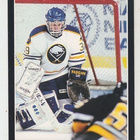 Dominik Hasek 93-94 Pinnacle - pikkukuva 1