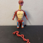 Rattlor motu complete - pikkukuva 1