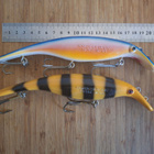 Swim Whizz n. 20cm 2kpl - pikkukuva 2