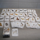 KOIRA PELIKORTIT, The famous dogs of the world - pikkukuva 1