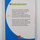 Sharon Siamon : Rodeohevonen - pikkukuva 2