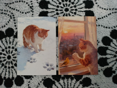 ~Kissa kortti~ 2kpl
