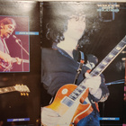Various : White Boy Blues  tupla vinyyli lp - pikkukuva 2