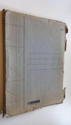 Pirkko Kaarina Koskinen : A comparative study of the prot...