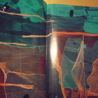 Yann Arthus-Bertrand - The Earth From The Air - Jättikirja! - pikkukuva 2