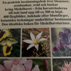 MEDELHAVETS VÄXTER - pikkukuva 2