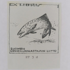 Trout And Salmon vuosikerta 1981 - pikkukuva 3