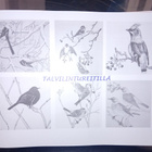 Ahti Saarinen ym.: Talvilintureitillä ( SIS POSTIKULU ) - pikkukuva 1