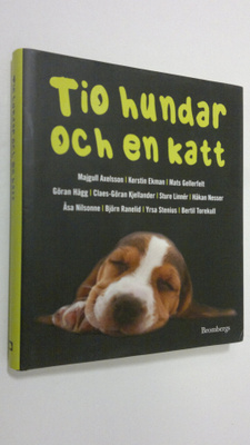 Tio hundar och en katt