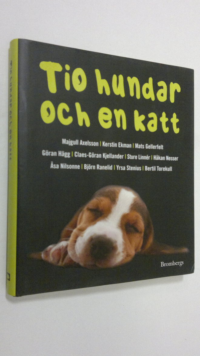 Tio hundar och en katt