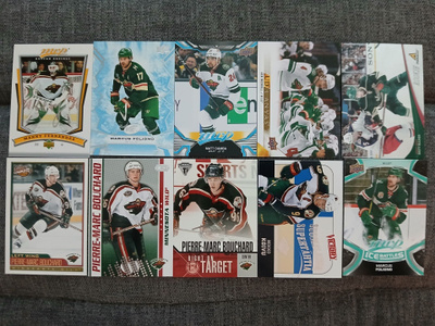 Minnesota Wild - nippu, katso! (mm. Koivu, Fiala)