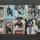 Minnesota Wild - nippu, katso! (mm. Koivu, Fiala) - pikkukuva 1