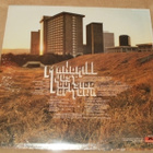 MANDRILL ~ Just Outside Of Town ~ LP kelmussa *UUSI* - pikkukuva 2