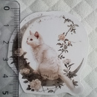 Kissa tarrat 10kpl - pikkukuva 2