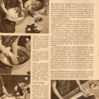 Kotiliesi n:o 8 1948 Paperinukke Kerttu-Silo tyttö n:o 2 - pikkukuva 5