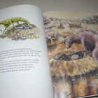 Marcus Pfister Pikku Dino - pikkukuva 3