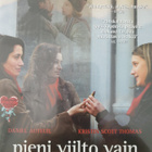 PIENI VIILTO VAIN DVD - pikkukuva 1