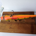 Hester Floating 11cm Poland - pikkukuva 4