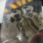 KISS - WORLD TOUR 1995 - 1996 JAPAN TOURBOOK - pikkukuva 2