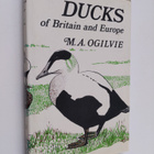 M. A. Ogilvie : Ducks of Britain and Europe - pikkukuva 1