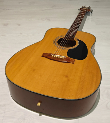 Takamine GS-240